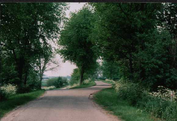 road from the Rosevelt to Oud-Vossemeer